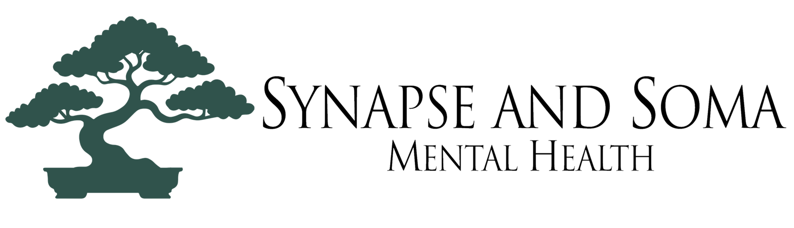 Synapse and Soma Mental Health | Adult Psychiatry North Shore